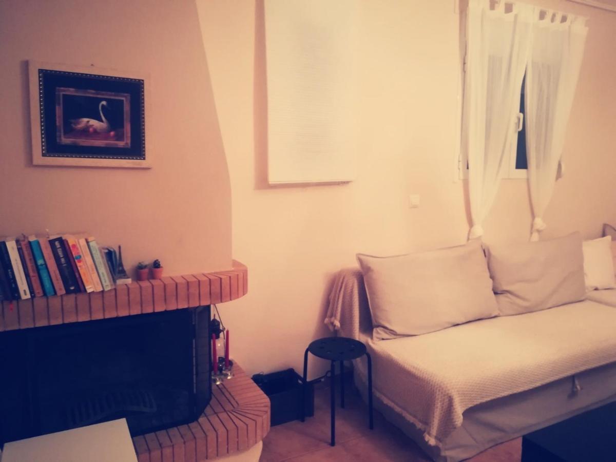 Villa Lux House Next To The Airport Of Athens. Transport 24H Artemida  Exterior foto